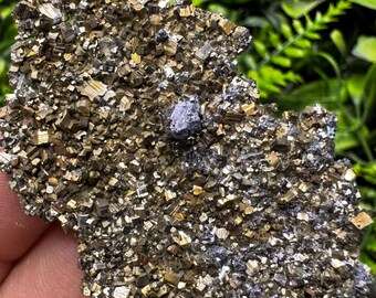 Pyrite Galena Cluster: Madan, Bulgaria Mineral Specimen