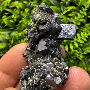 Puede incluir: Un grupo de cristales oscuros y brillantes con formas geométricas nítidas. La formación mineral presenta una mezcla de tonos negros y plateados, con toques de verde y dorado. Los cristales se sostienen en una mano, con un fondo de follaje verde.