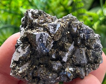 Galena Chalcopyrite Madan Bulgaria natural crystal minerals specimen clusters souvenirs
