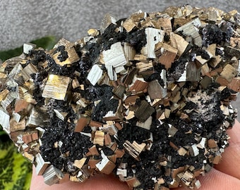 Pyrite Chlorite Mineral Specimen Cluster - Madan Bulgaria Decor