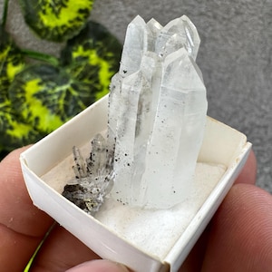 Cuarzo limonita Lacky Bulgaria cristal natural cristal minerales especímenes racimos recuerdos WholesaleMineralsBox