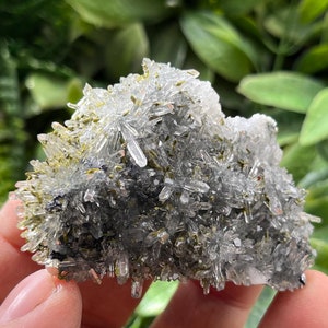 Puede incluir: Un cúmulo de cristales de cuarzo transparentes con una matriz mineral verde y gris. Los cristales están agrupados en una formación densa, creando una textura única e interesante.