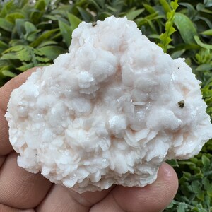 Wonderful Manganocalcite Krushev Dol  mine-Madan Bulgaria crystal minerals specimen