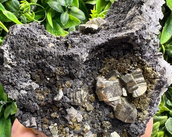 Pyrite / Quartz / Galena / Chalcopyrite Sphalerite - Madan Bulgaria natural crystal minerals