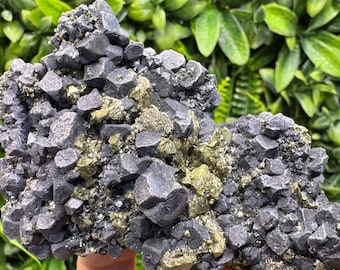 Galena Chalcopyrite Pyrite : Madan Bulgaria natural crystal minerals specimen clusters.