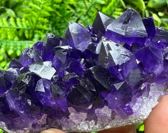 有名なチャラ鉱山産の希少な黄鉄鉱入りアメジスト、ブルガリア産