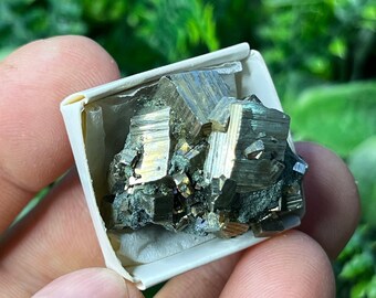 クォーツ（日本法双晶）黄鉄鉱緑泥石ラッキーブルガリア天然水晶鉱物