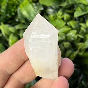 Puede incluir: Una punta de cristal de cuarzo transparente y blanco con un aspecto ligeramente nublado. El cristal se sostiene en una mano, con un fondo verde de hojas.