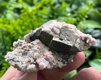 Rhodochrosite Stilbite Chalcopyrite Davidkovo Bulgaria  natural crystal minerals specimen clusters souvenirs WholesaleMineralsBox