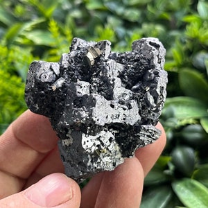 Wonderful Galena (skeleton ) Pyrite Chlorite Krushev dol mine Madan Bulgaria