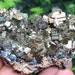 see more listings in the Pyrite Quartz section