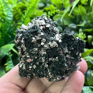 Puede incluir: Un cúmulo de cristales de pirita incrustados en una matriz verde oscuro. Los cristales de pirita tienen forma cúbica y un color plateado metálico.