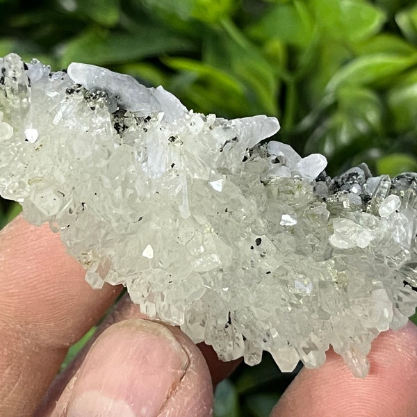 Quartz Chlorite Epydote Calcite Lacky Bulgaria natural crystal minerals specimen clusters souvenirs WholesaleMineralsBox