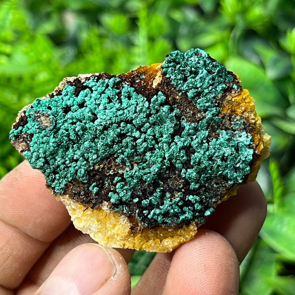 Malachite Morocco natural crystal minerals specimen clusters souvenirs WholesaleMineralsBox home decor