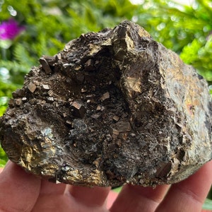 Puede incluir: Una roca grande, rugosa, de color marrón oscuro y dorado con un grupo de cristales de pirita incrustados.