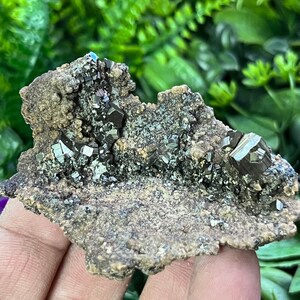 Puede incluir: Un grupo de cristales de pirita gris metálico en una matriz de roca marrón rugosa. Los cristales tienen una forma geométrica afilada y una superficie reflectante.