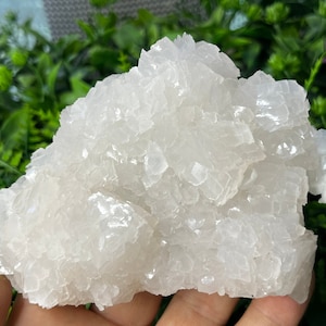 Puede incluir: Un gran cúmulo de selenita blanco y cristalino. La selenita es translúcida y tiene una superficie lisa y vidriosa. El cúmulo tiene una forma irregular y un borde natural y áspero.