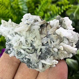 Puede incluir: Un cúmulo de cristales de cuarzo blanco sobre una matriz gris. Los cristales son afilados y puntiagudos, y están dispuestos en un patrón aleatorio. La matriz es rugosa y texturizada.