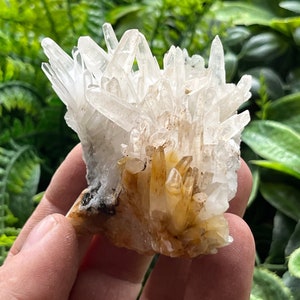 Puede incluir: Un cúmulo de cristales de cuarzo blanco con una base de cristales de cuarzo marrón y amarillo.