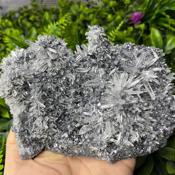 Galena Quartz Madan Bulgaria natural crystal minerals specimen clusters souvenirs WholesaleMineralsBox