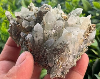 Pyrite Quartz Chlorite Borieva mine Madan Bulgaria crystal minerals specimen