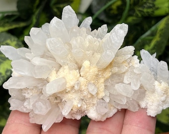Natural Quartz Crystal Cluster, Madan Bulgaria Mineral Specimen