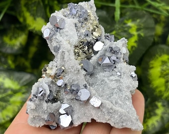 Transparent Quartz with Pyrite  from Bulgaria,Madan,Borieva mine Mineral,Crystal,Specimen,Collection,collectors Galena,Gemstone