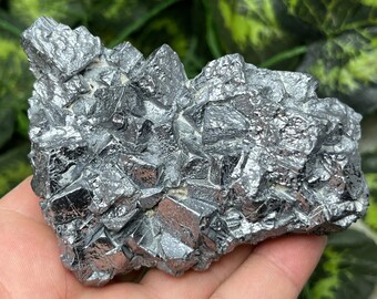 May include: A cluster of metallic gray, faceted crystals. The crystals are arranged in a random, organic pattern.
