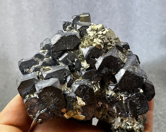 May include: A cluster of black pyrite crystals with a smaller cluster of gold pyrite crystals in the center.