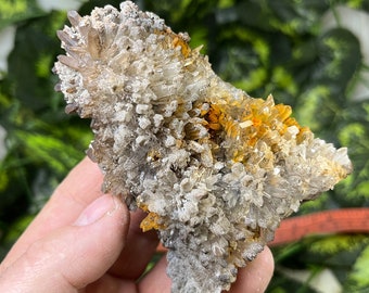 Quartz limonite Hemimorphite Madan Bulgaria natural crystal minerals specimen clusters souvenirs WholesaleMineralsBox