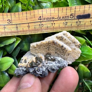 May include: A mineral specimen with a light brown, textured surface and dark gray and black crystalline formations. A wooden ruler with inch markings is placed above the mineral, showing measurements.