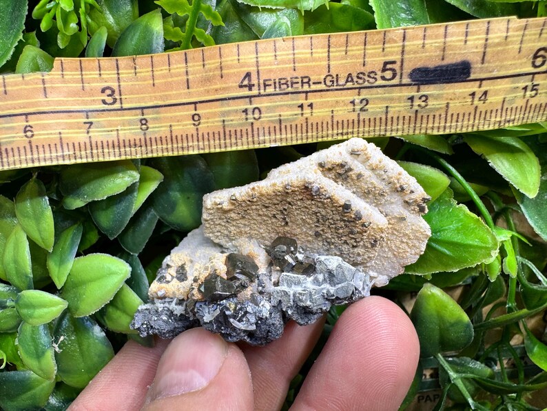 May include: A mineral specimen with a light brown, textured surface and dark gray and black crystalline formations. A wooden ruler with inch markings is placed above the mineral, showing measurements.