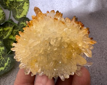 Cuarzo Limonita Madan Bulgaria, minerales cristalinos naturales, racimos de especímenes, recuerdos, WholesaleMineralsBox