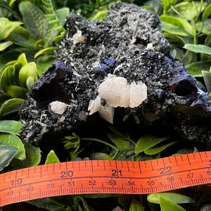 May include: A black and white crystal cluster with white crystals on a black matrix. The cluster is approximately 2 inches wide. A ruler is in the foreground for scale.