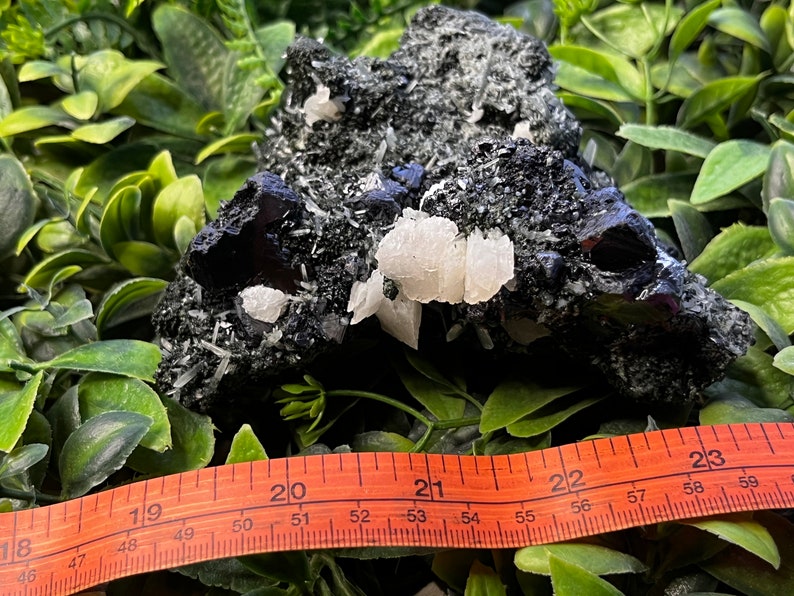 May include: A black and white crystal cluster with white crystals on a black matrix. The cluster is approximately 2 inches wide. A ruler is in the foreground for scale.