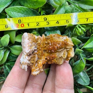 Vanadinite / Barite - Morocco natural crystal minerals specimen clusters image 2