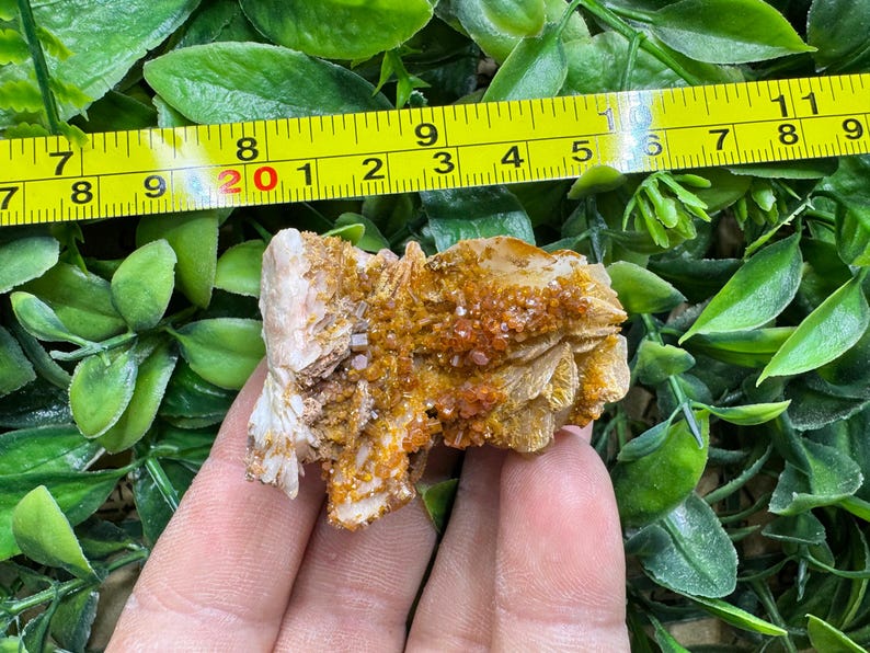 Vanadinite / Barite - Morocco natural crystal minerals specimen clusters image 2