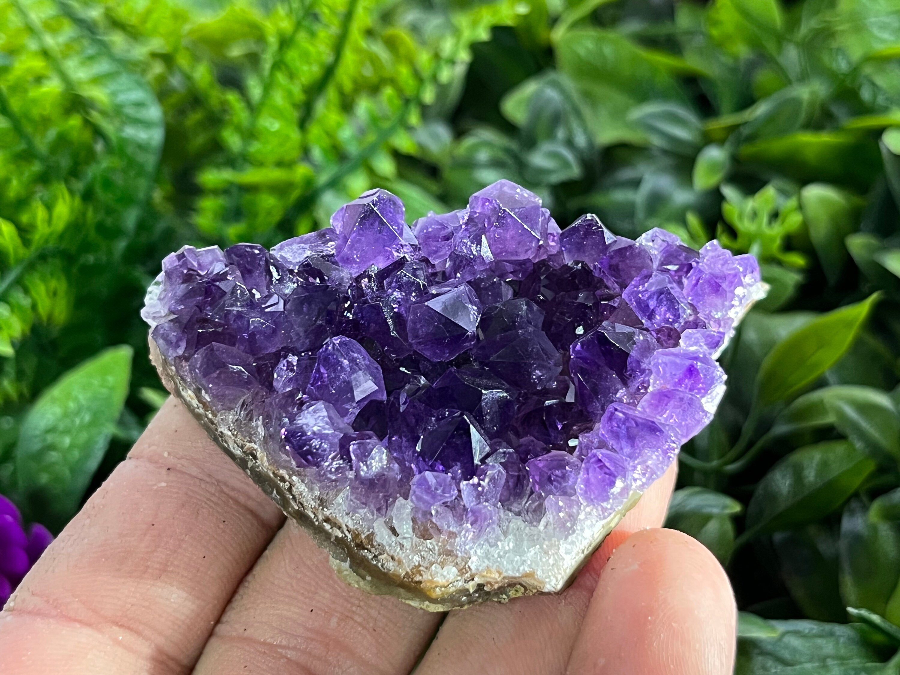 アメジスト ドーム クラスター 大型 天然石 1点物 1点もの/天然石/最