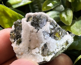 May include: A cluster of green and gold pyrite crystals embedded in a white quartz matrix. The crystals are sharp and well-defined, with a metallic luster.