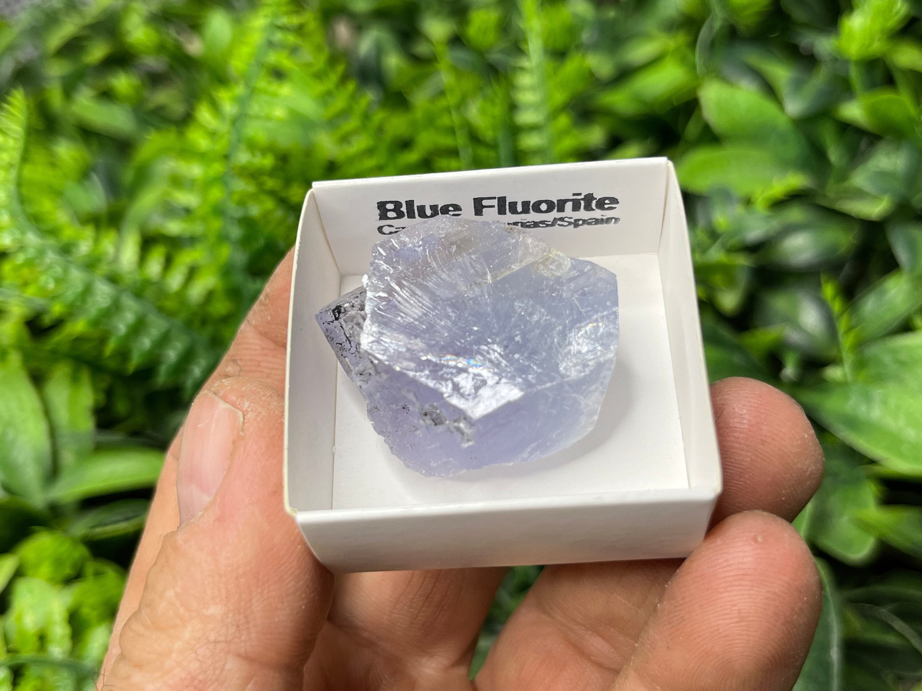 ブルーフローライト カラビア/アストゥリアス/スペイン 天然水晶鉱物