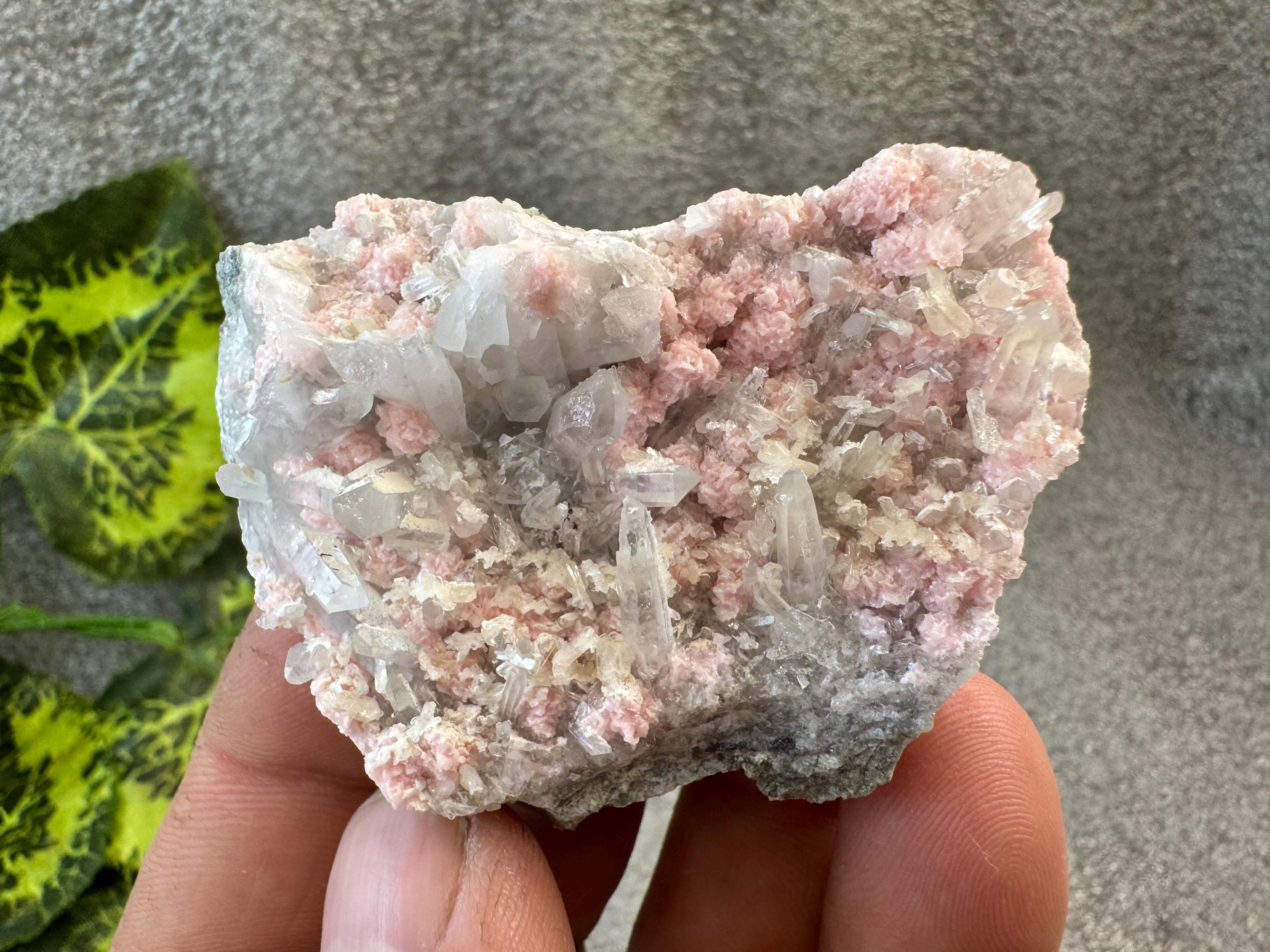 ロードクロサイト スティルバイト クォーツ 黄銅鉱 Davidkovo