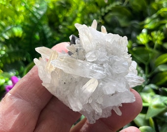 Sphalérite Quartz Calcite Madan Bulgarie cristaux minéraux spécimens grappes naturelles