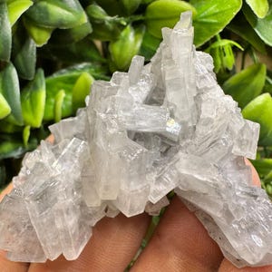 Barite Erma Reka Bulgaria natural crystal minerals specimen clusters souvenirs WholesaleMineralsBox image 1