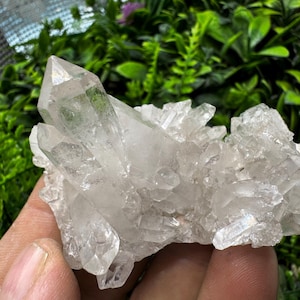 Amazing Quartz Brazil natural crystal minerals specimen clusters souvenirs WholesaleMineralsBox