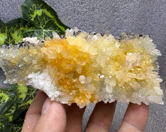 クォーツカルセドニーマダンブルガリア天然水晶鉱物標本クラスターお
