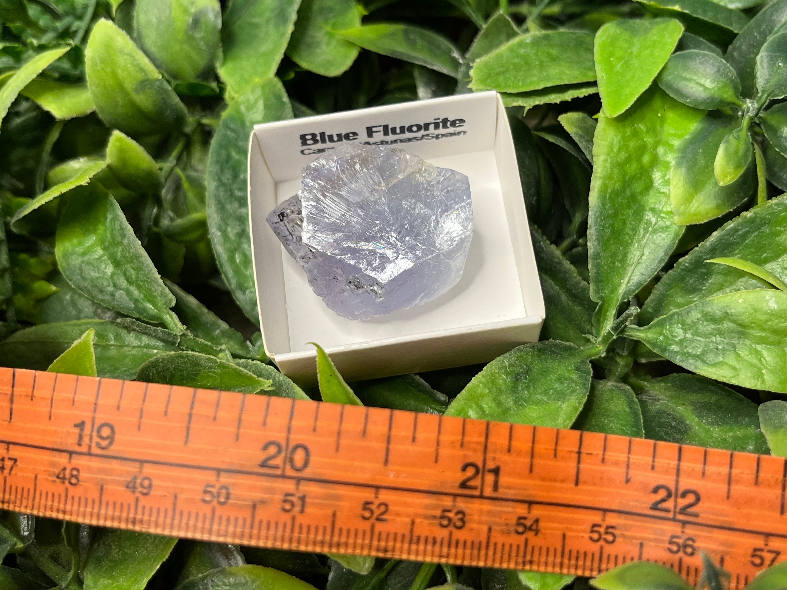 ブルーフローライト カラビア/アストゥリアス/スペイン 天然水晶鉱物