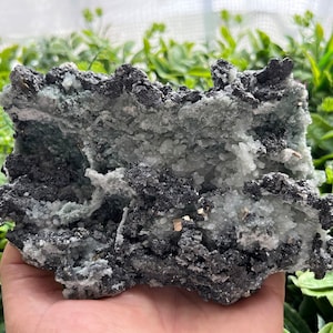 Puede incluir: Un espécimen mineral áspero, gris y blanco con una estructura cristalina. El espécimen tiene una capa de pequeños cristales blancos sobre una capa de cristales grises. Hay pequeños cristales de pirita de color dorado incrustados en el espécimen.