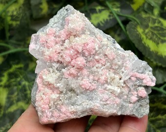 Rhodochrosite Stilbite Quartz Chalcopyrite Davidkovo Bulgaria natural crystal minerals specimen clusters souvenirs WholesaleMineralsBox