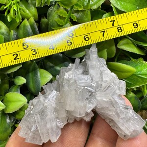 Barite Erma Reka Bulgaria natural crystal minerals specimen clusters souvenirs WholesaleMineralsBox image 2