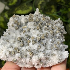 Amazing Quartz Chalcopyrite Galena Krushev Dol  mine Madan Bulgaria
